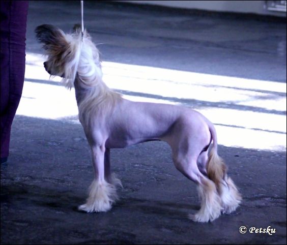 Zhannel's French-kiss