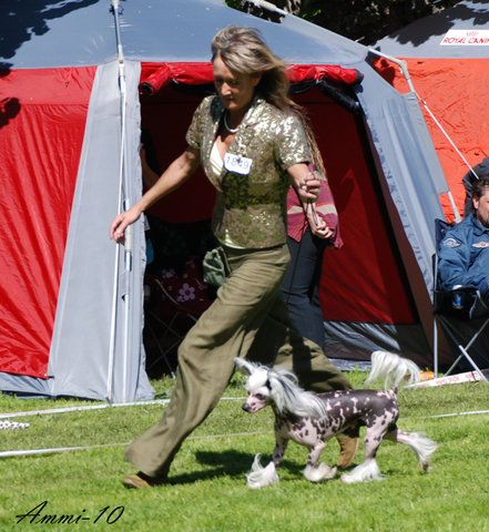 Sun-Hee's The Lights On Me