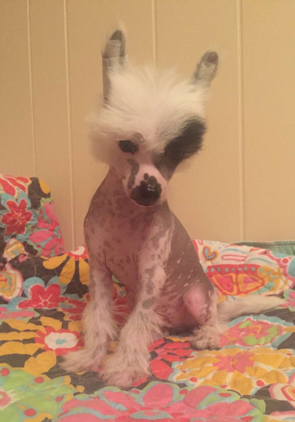 Soluna Rico Suave at Jewels