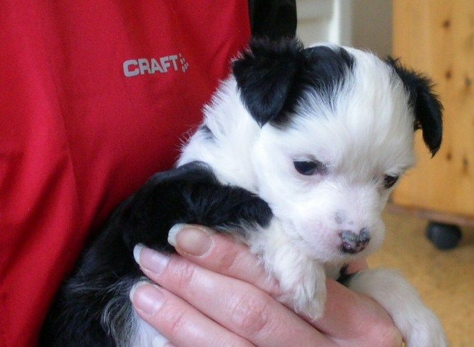 Annorlundas Envisa Ellen