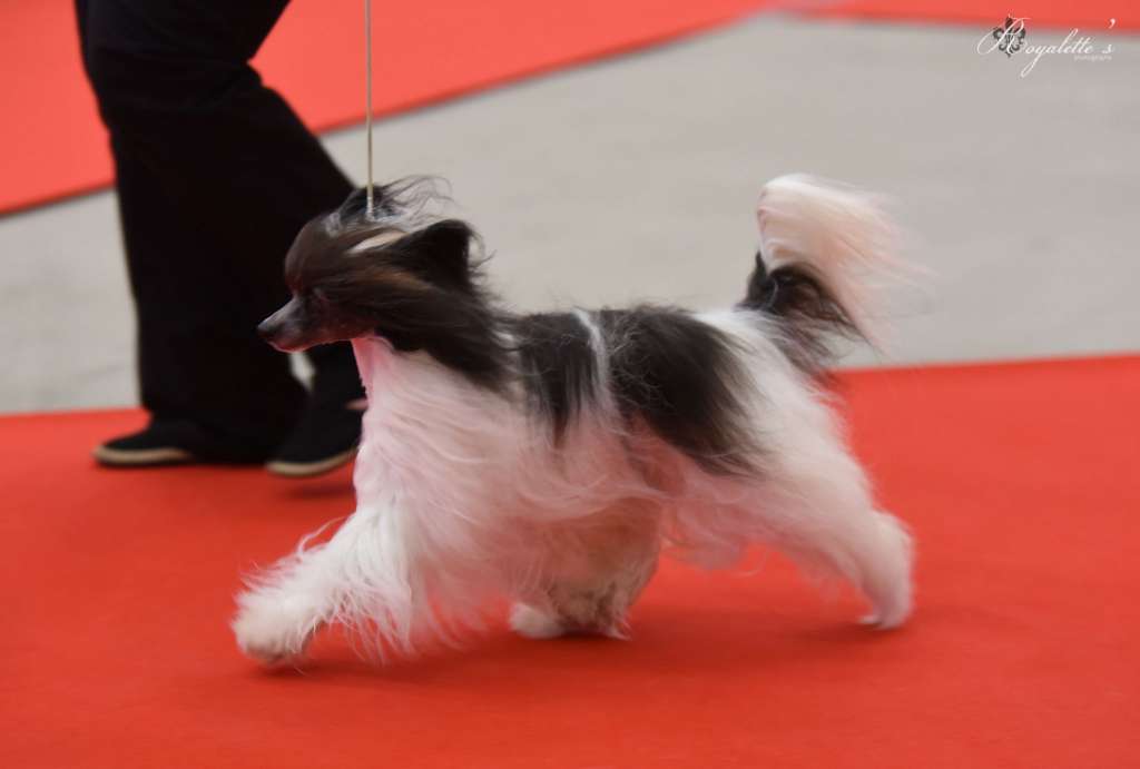 Kaitlin Hei Se Hui Mei Mei