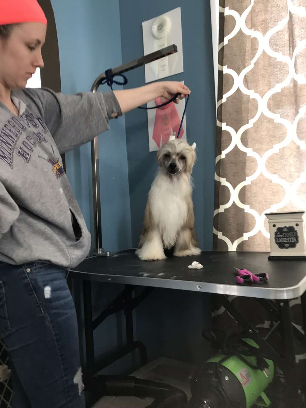 Ciao Bella Catch me at the Jersey Shore By Jove