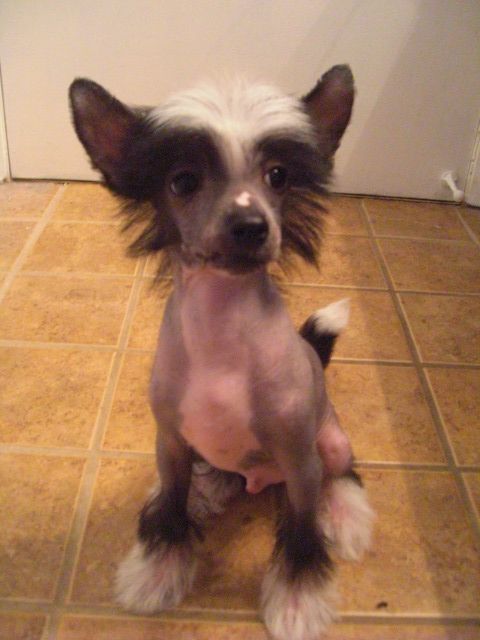 Jo-Pearl Back To Black