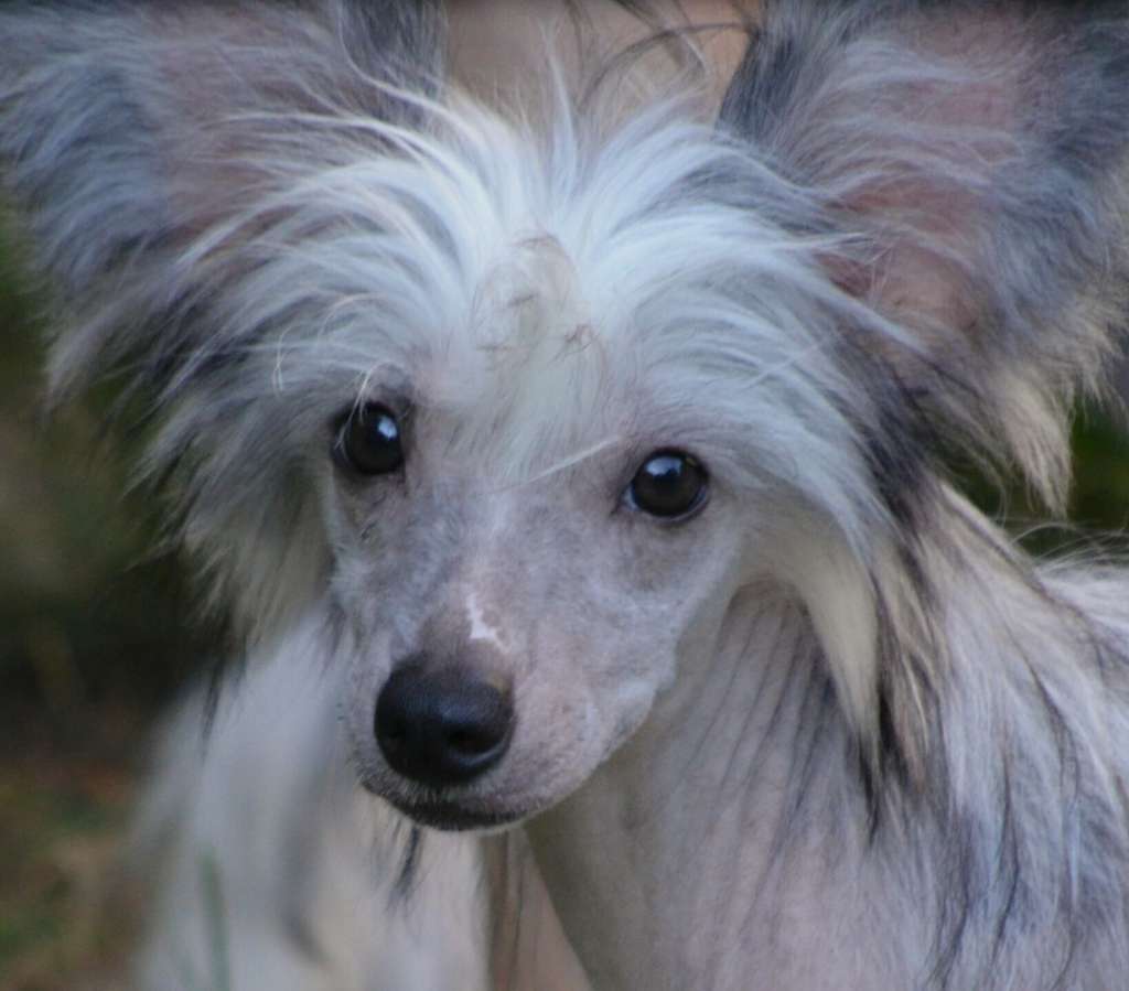 Magic of Success Gravity Love