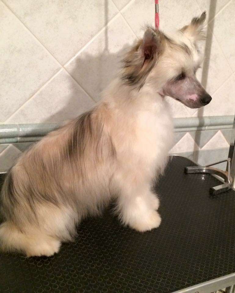 Laran dio della guerradi casa megi