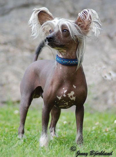 Sun-hee's See U In Peru