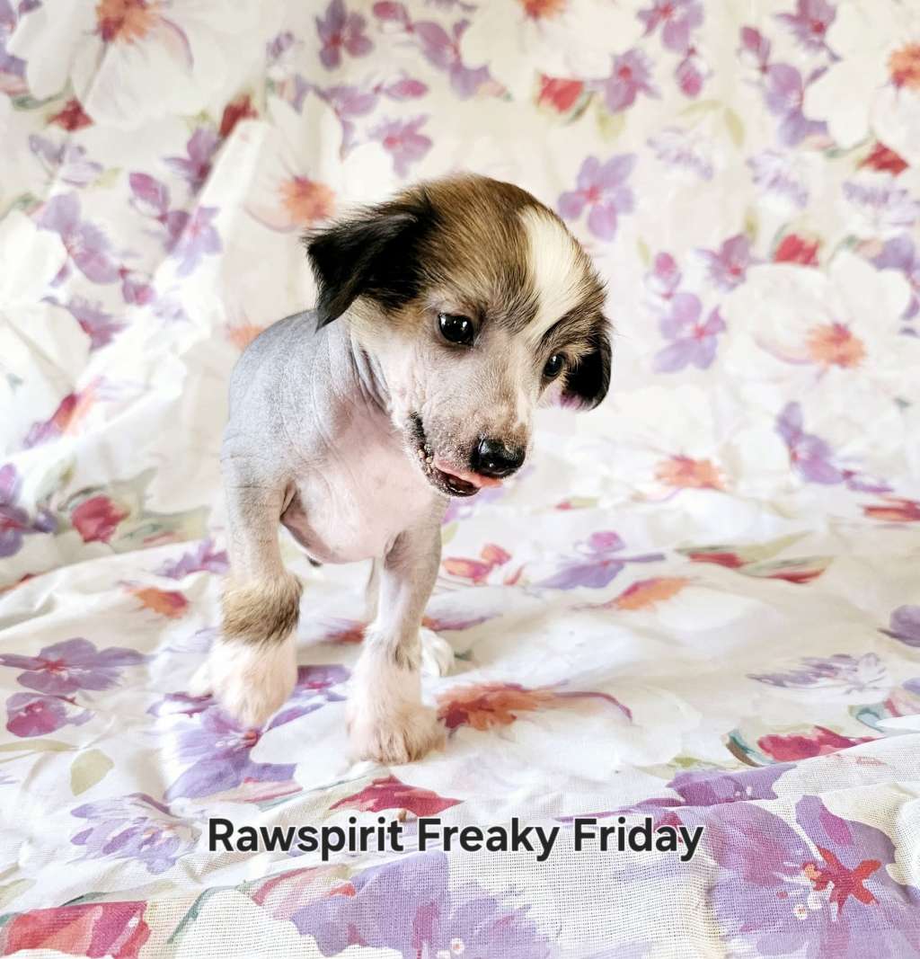 Rawspirit Freaky Friday