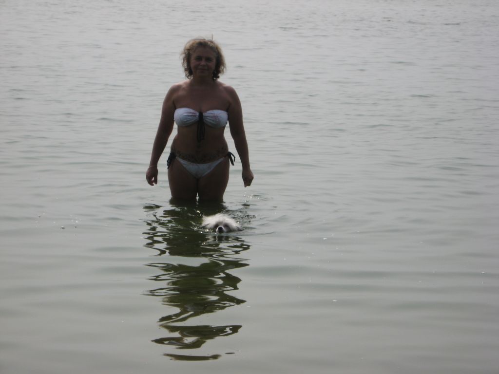 Picture