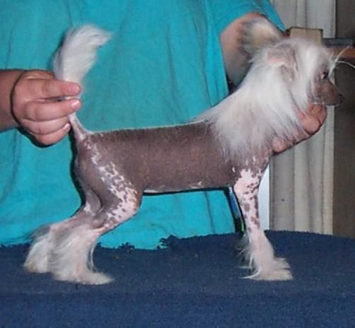 Mosaic's Believe It Or Not