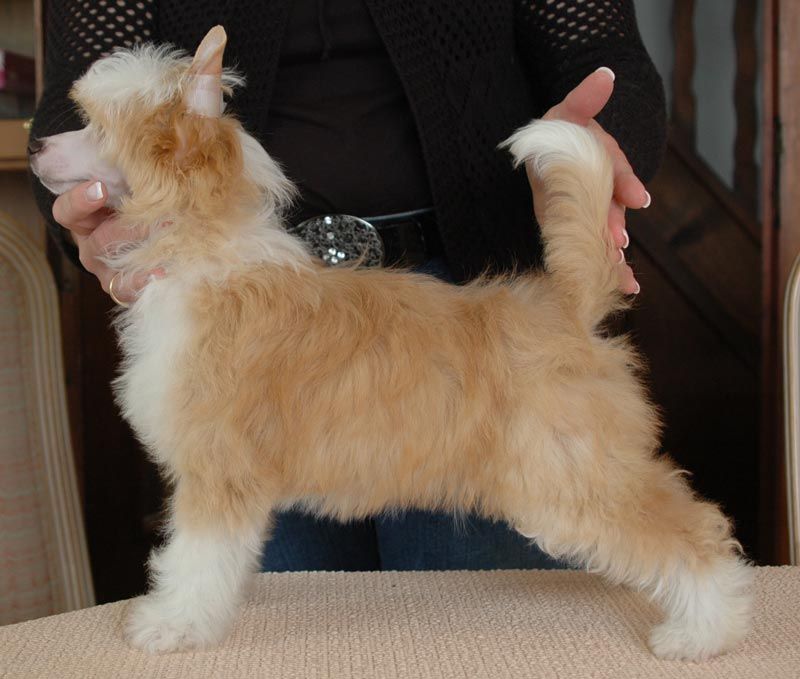 Hip Hop Little Champs