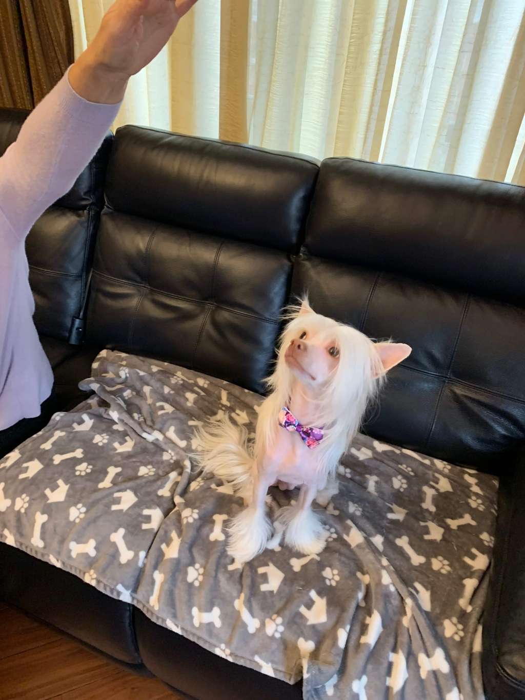 Landkris Beyond Happiness