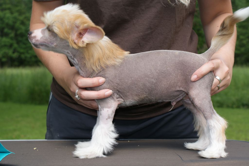 Way More Adventurous Than You