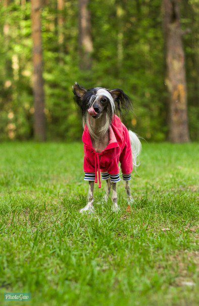 Grand Sunlife Bogema