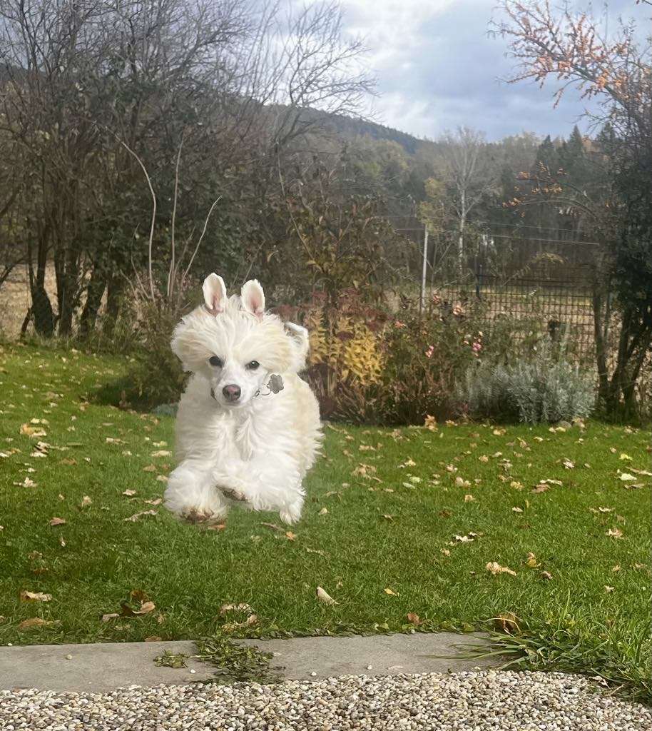 Fiona Smile Mikeilon