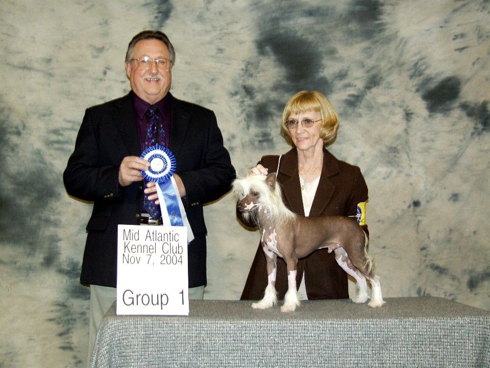 Ecola Ready To Rumble