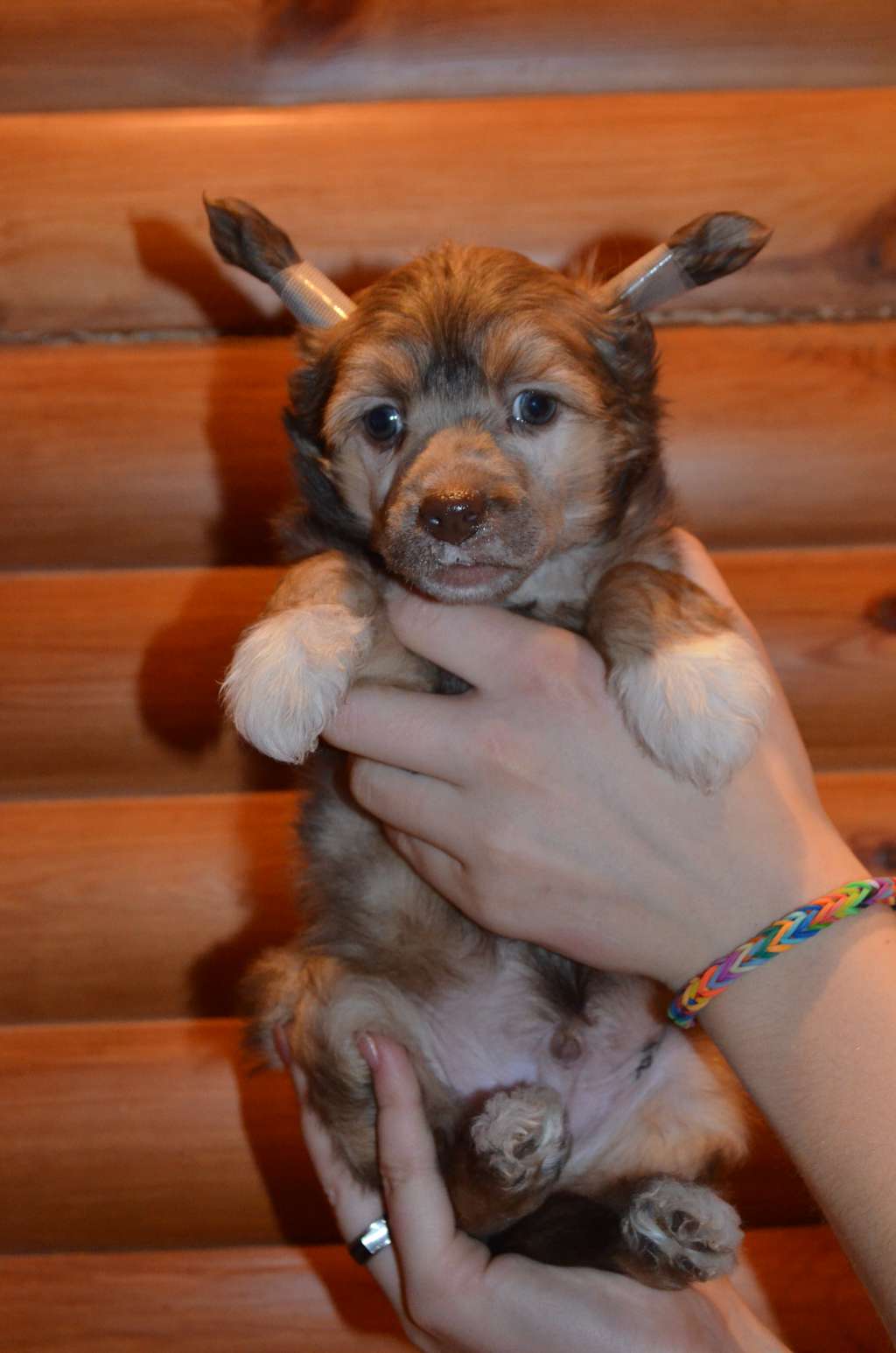 Ognenny Lotos Eminem