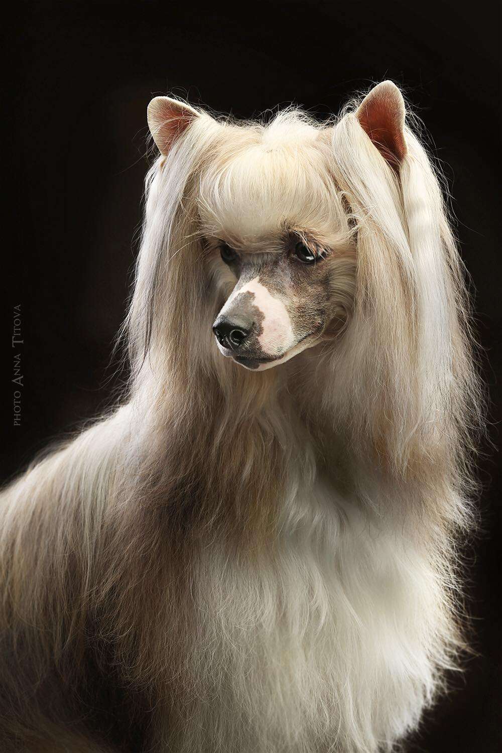 Via Della Seta Epic Storm