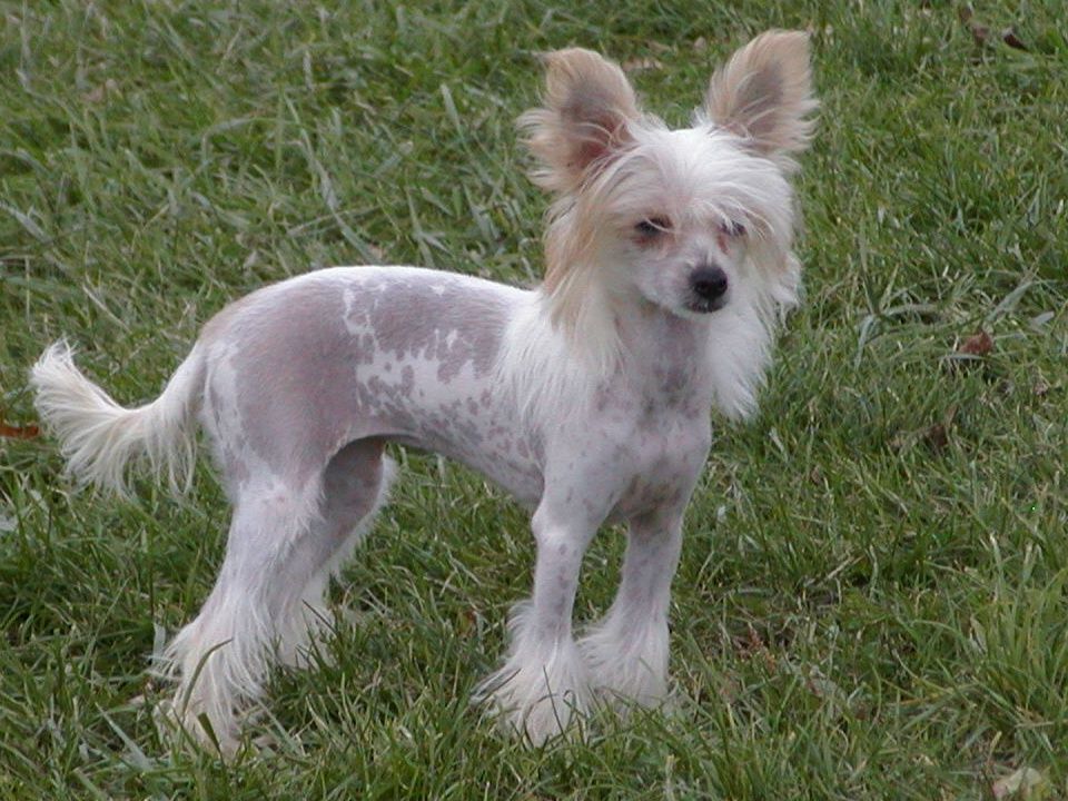 C-Cruz's Read' Em  and Weep