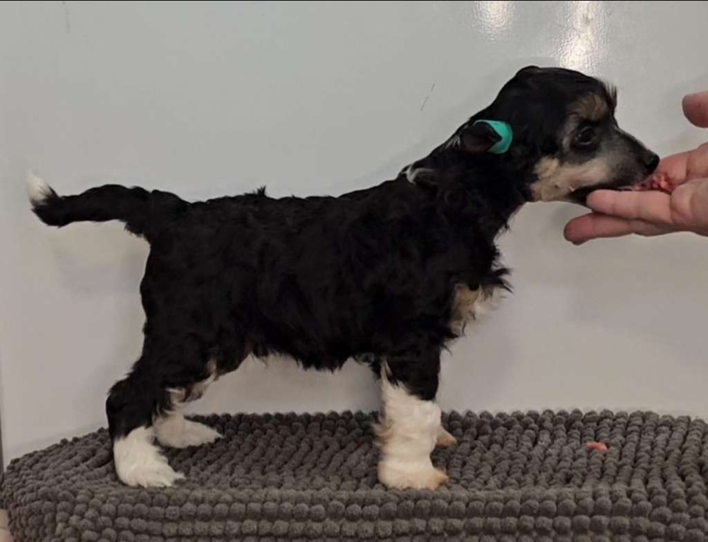 Kaitlin Glamour And Strength