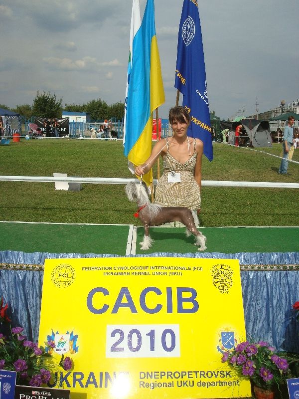 Picture