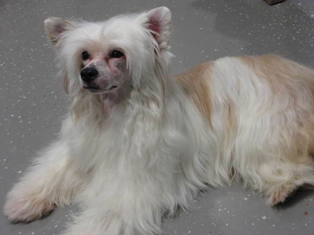 Kelsions Bad Influence