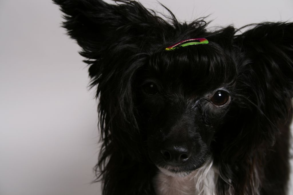 Chin Leacy of Laura's home