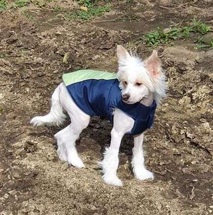 Fundoklia-völgyi Kaszanics California