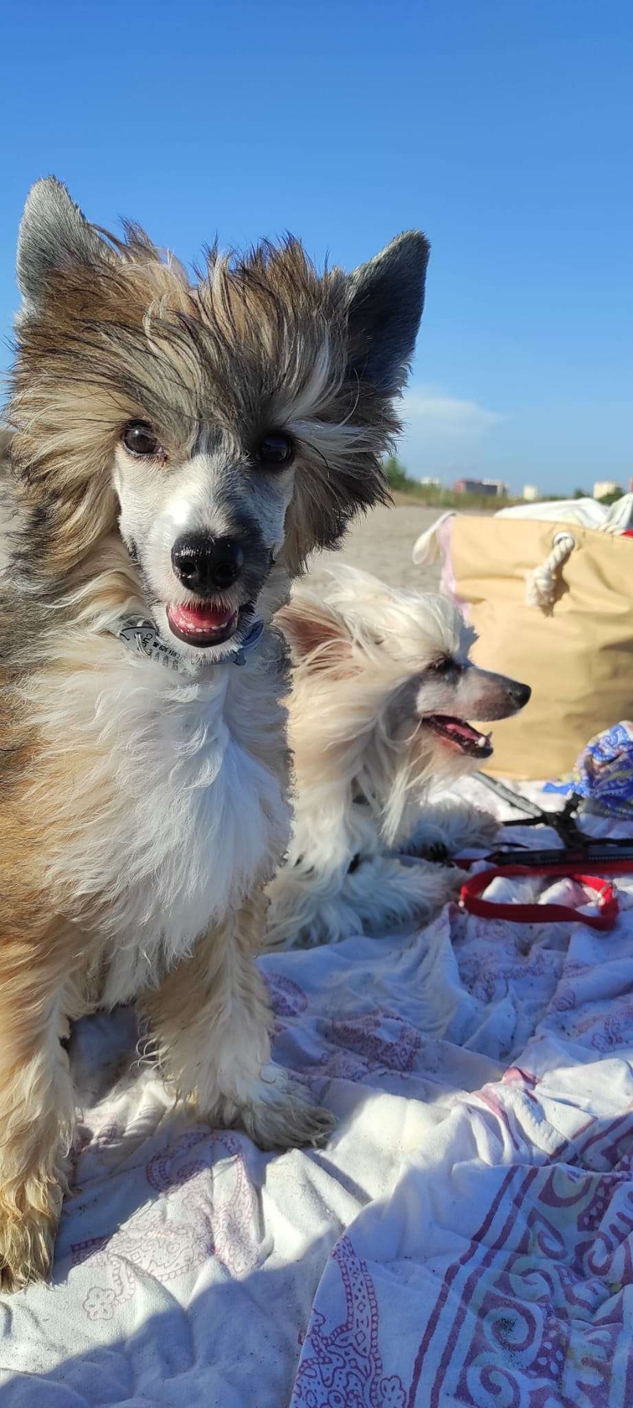 Magnus Staff Million Kisses