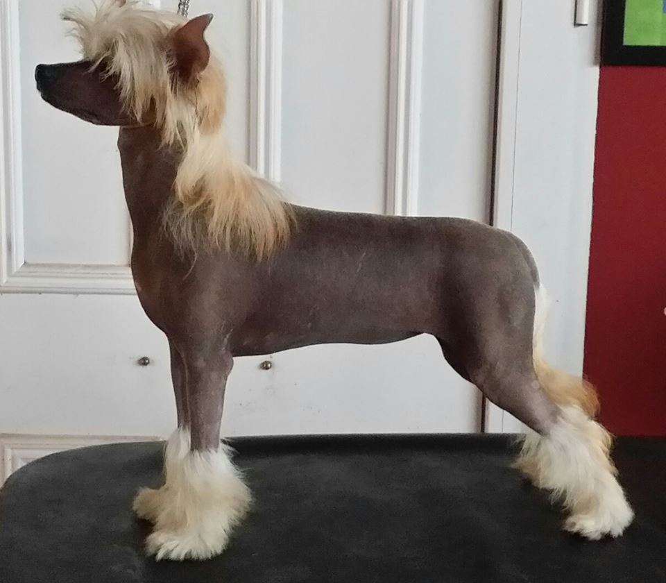 Kiss of nymphs de Almamasan