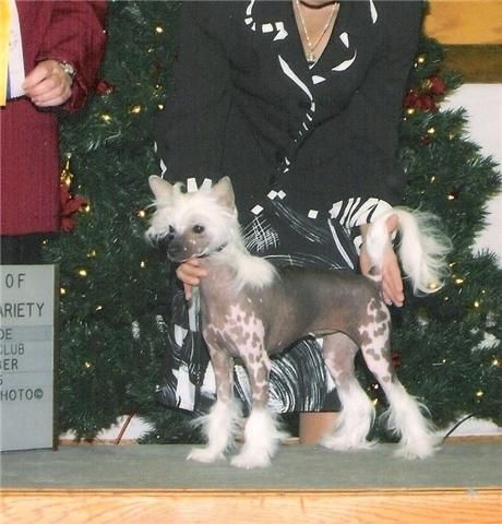 Leaning Oaks Mae Ling