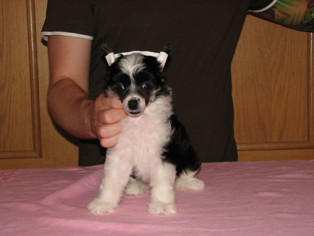 Brenda Brill Baby ESZMO