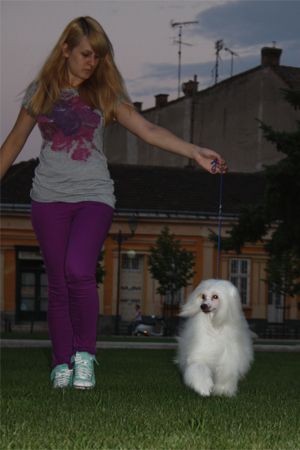 Picture