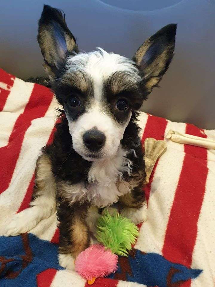 Ridgecrest's Pretty Special