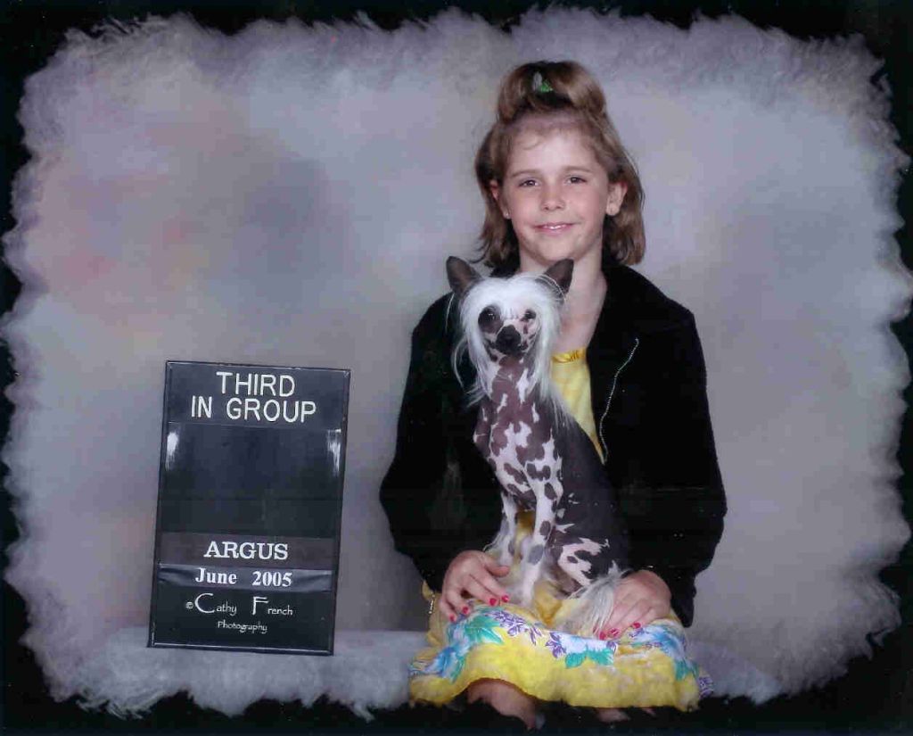 Sanuchar's High Society