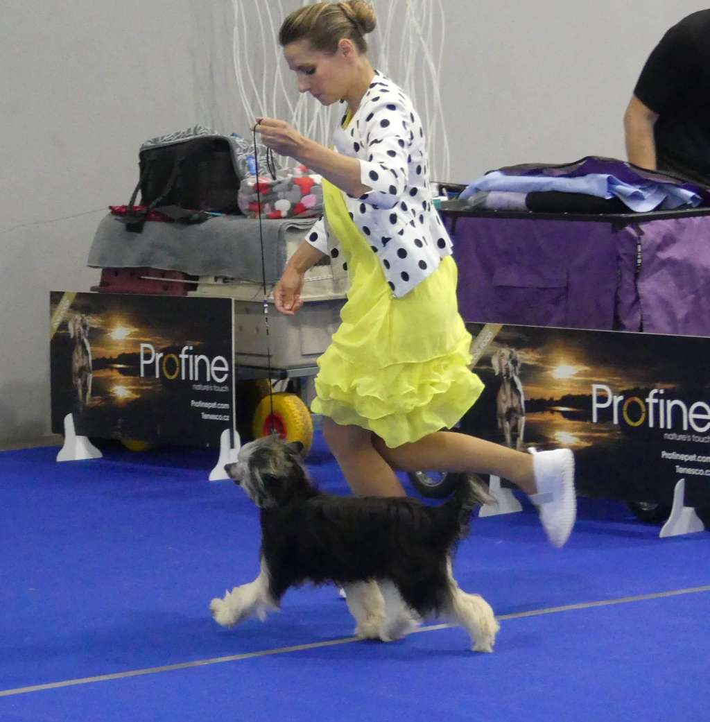 Aiden Mole Black Beautiful