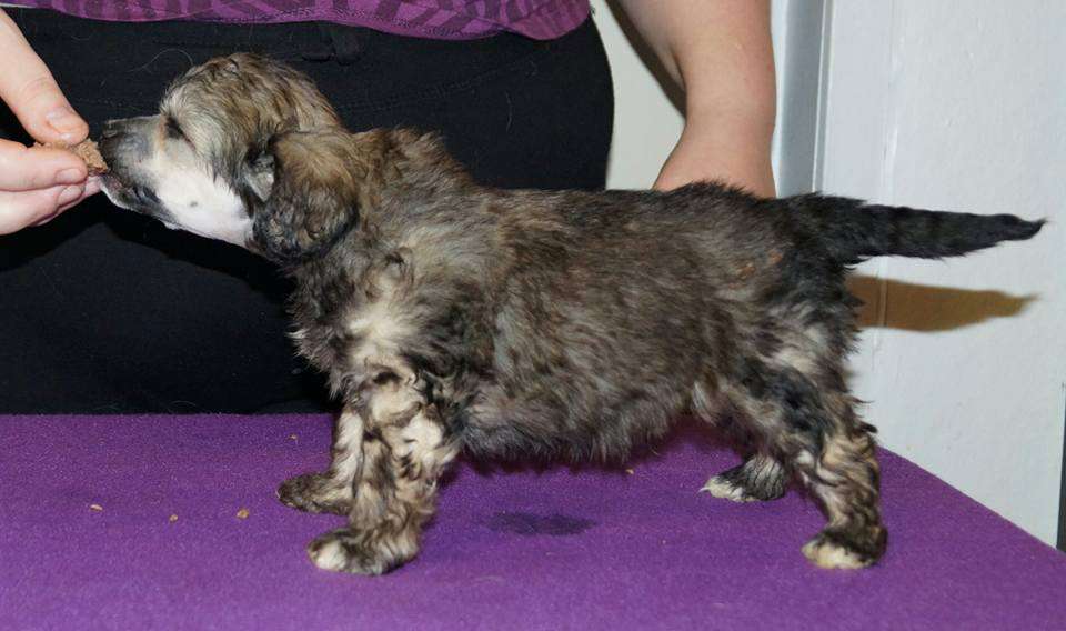 Sun Dan Second Chance