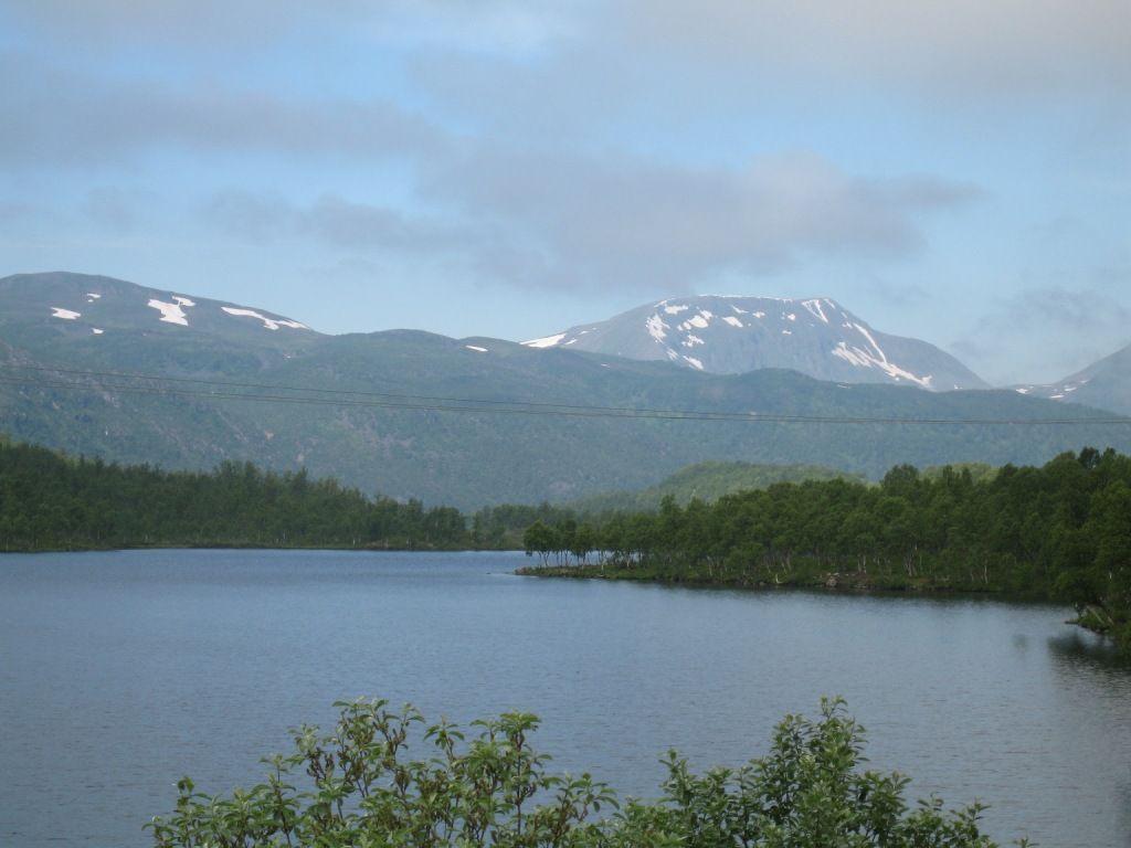 Picture