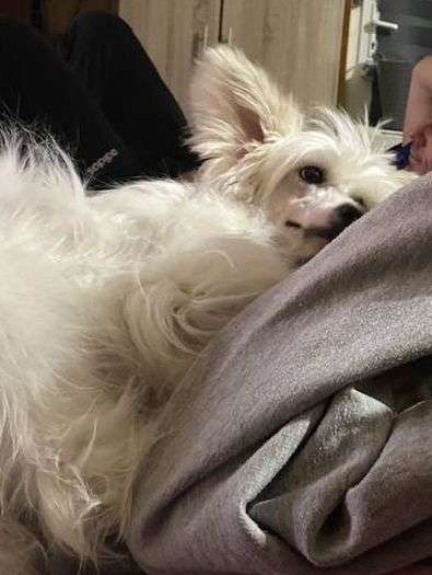 Fundoklia-völgyi Kaszanics Roxette