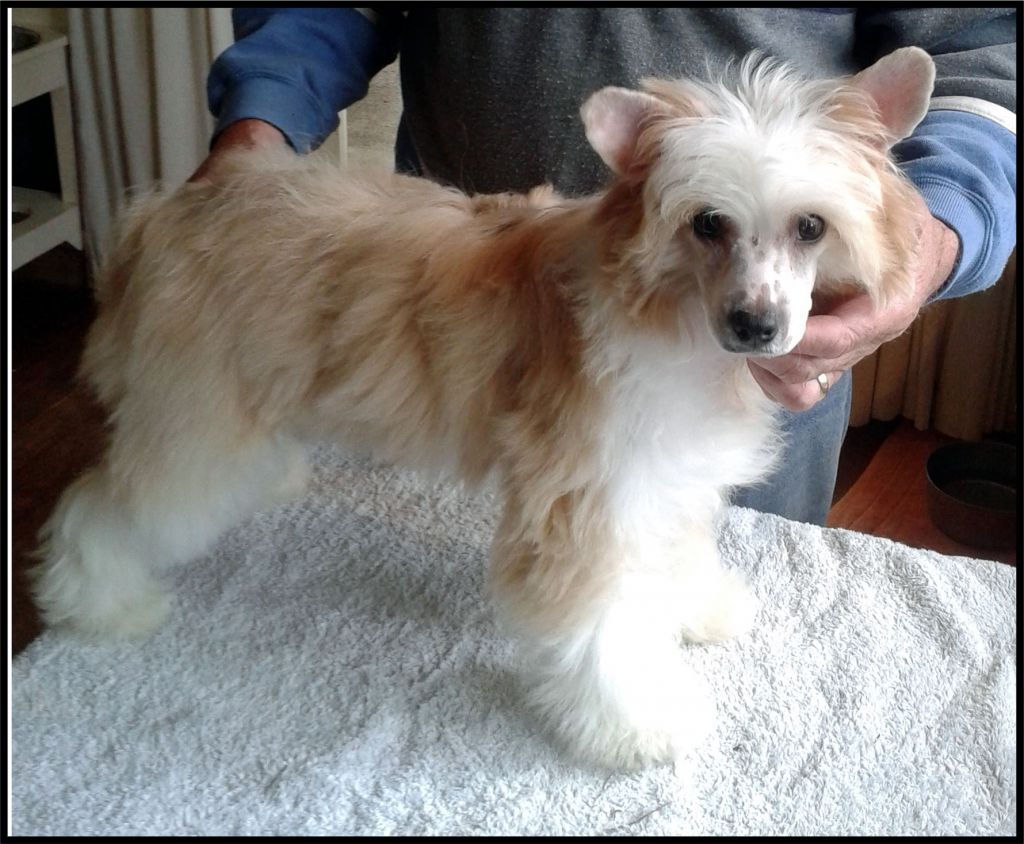 Koreke Kaught On Camera At Yacanto