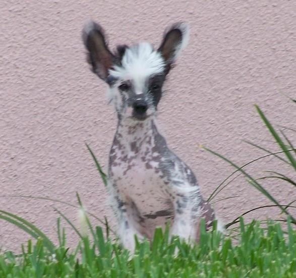 Picture