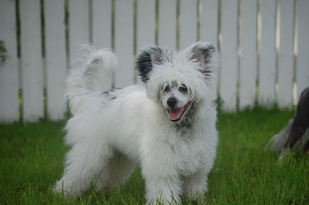 Pinky Twinky Hole In One