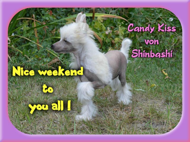 Candy Kiss von Shinbashi