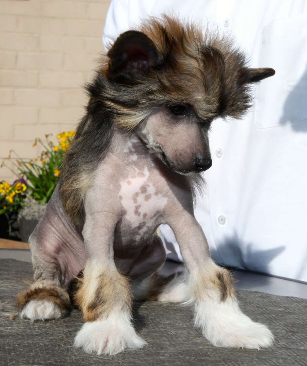 Phiènne From China with love