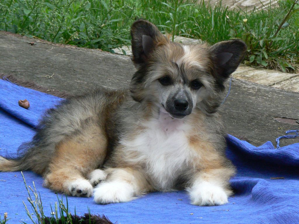 Eldest Hero Queen Malverne