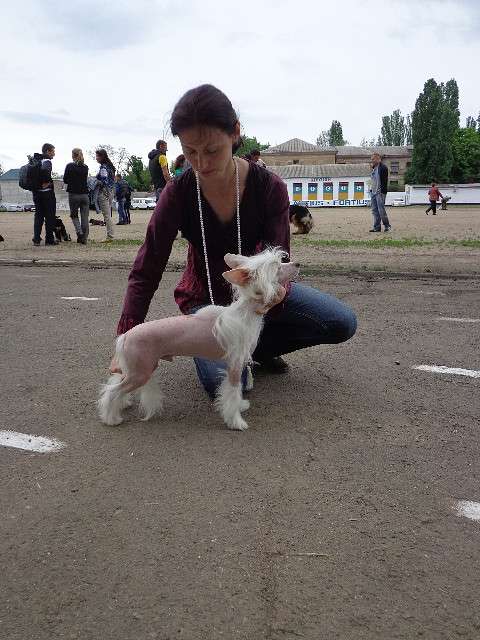 Picture