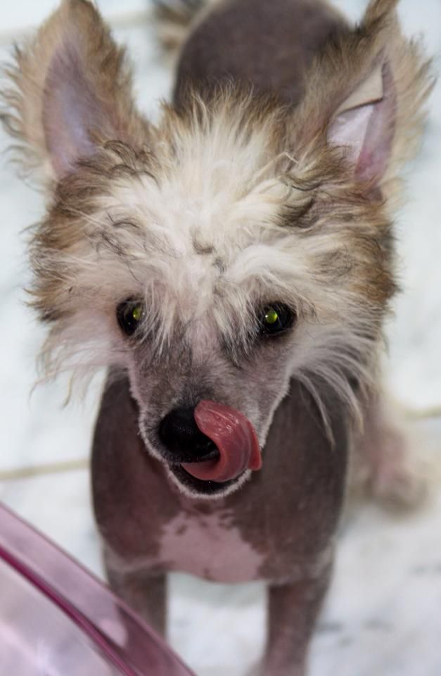 Frendor's  Show me a smile