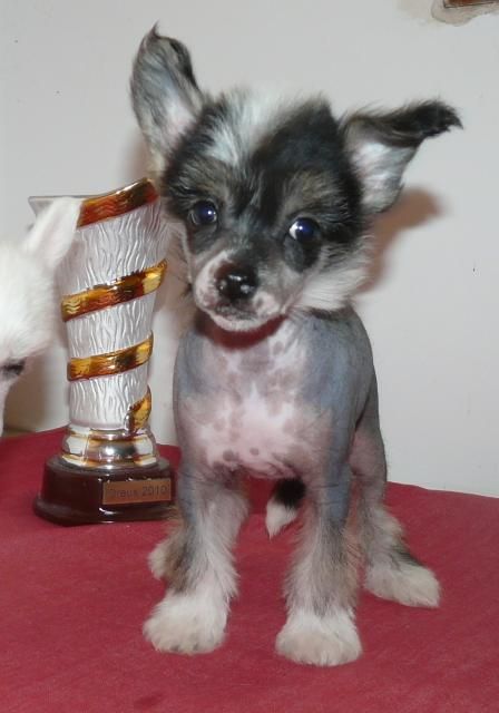 Subway Felicita Wich Epocha