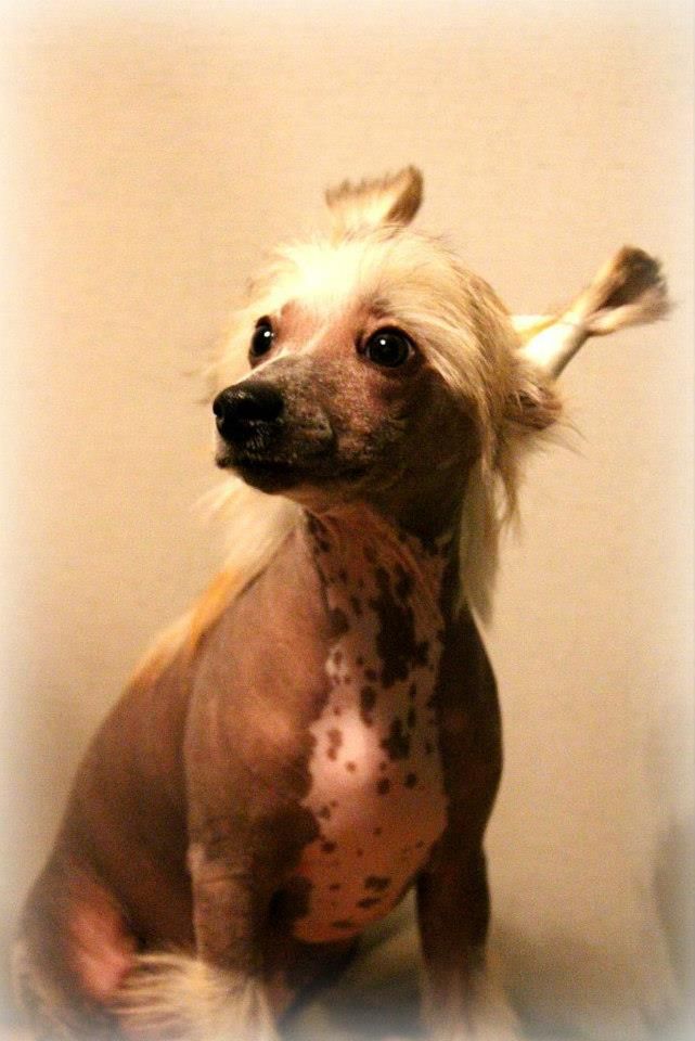 Akelas Born On A Different Cloud