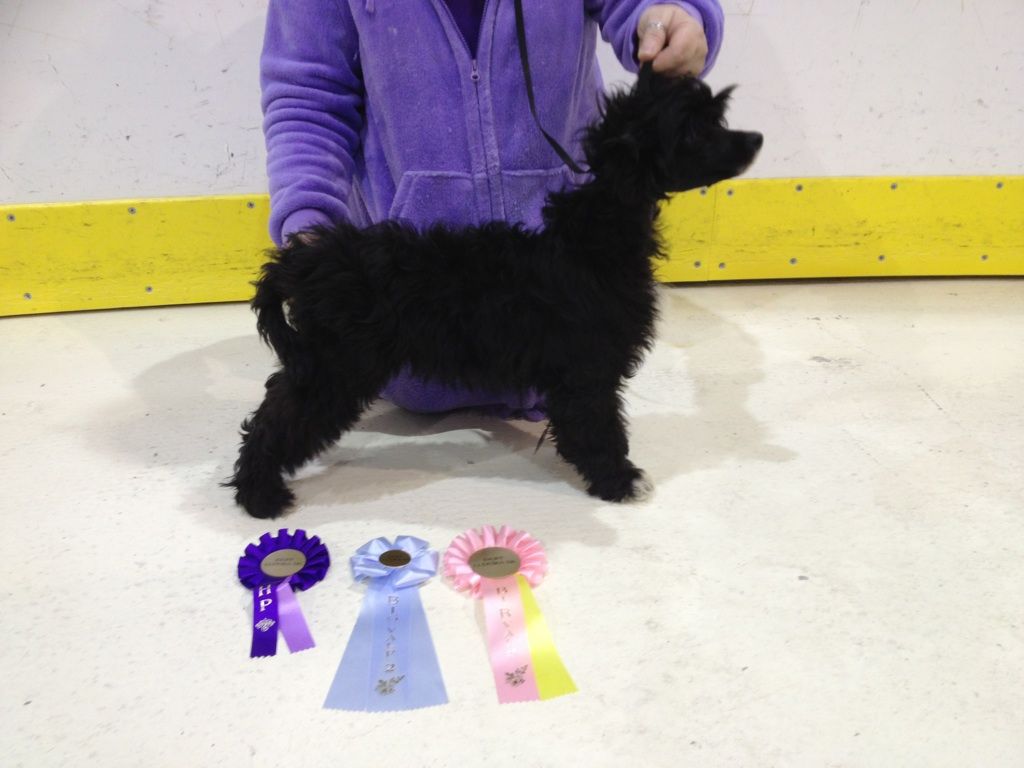 Tournais A Boy Called Sue