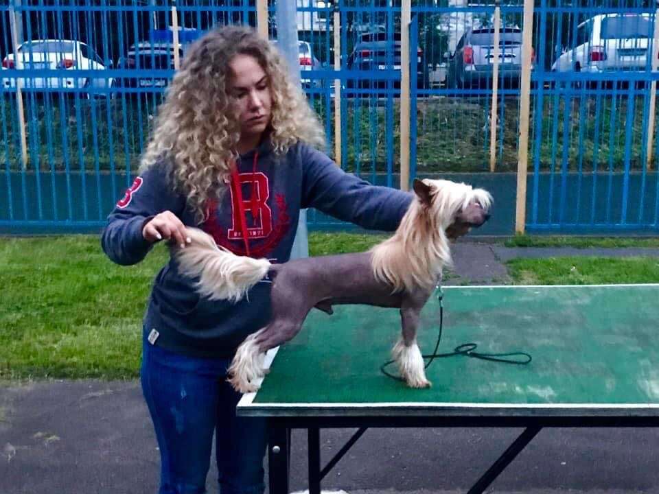 Rolana Family L'vinoe Serdce